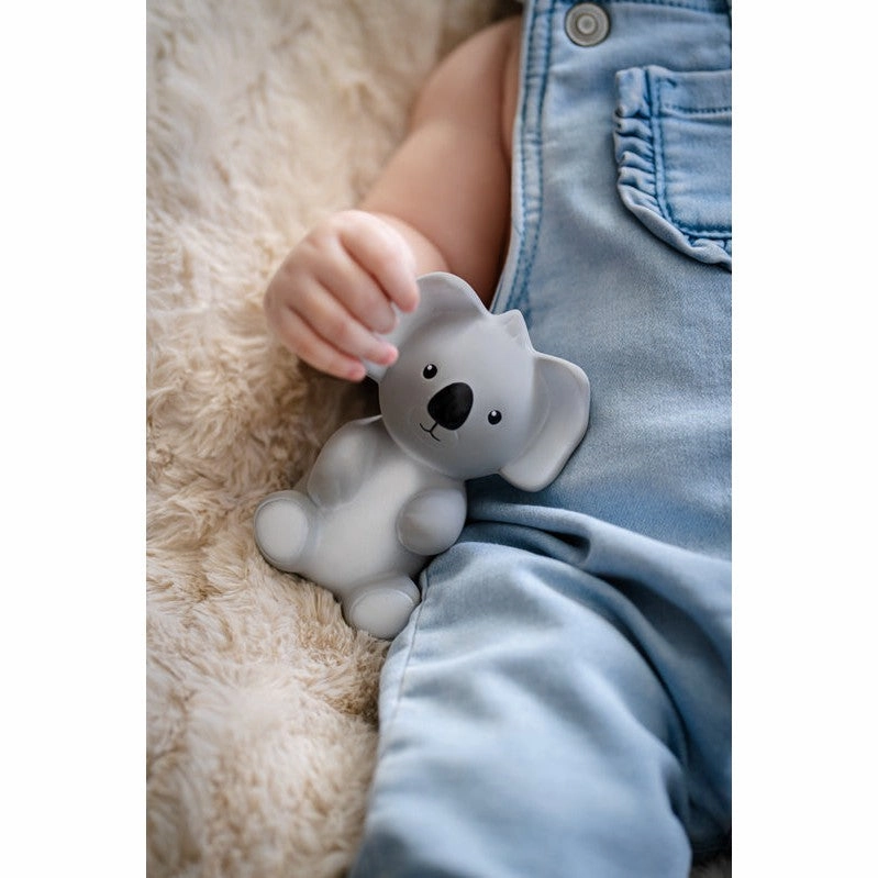 Australian Animals - Koala
