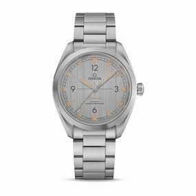 Omega Seamaster Railmaster Watch, 40mm Grey Dial, 220.10.40.20.06.001