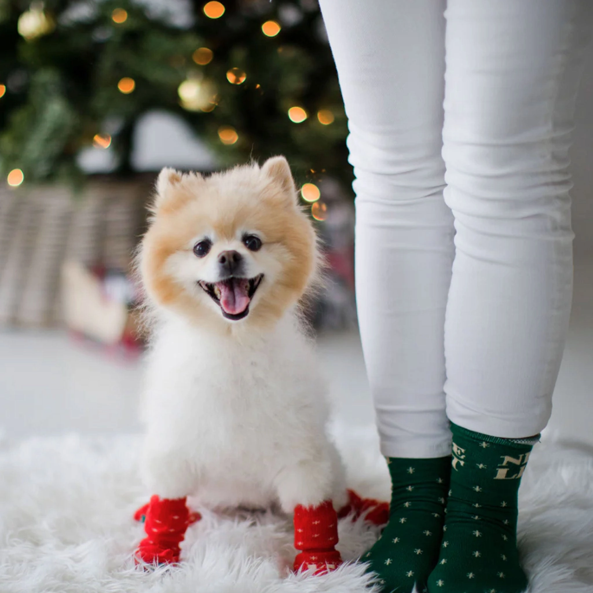 Pearhead Naughty/Nice List Human and Dog Sock Set Red & Green Dog Apparel